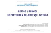 AAS Metode Si Tehnici de Prevenire a Delincventei Juvenile 2006