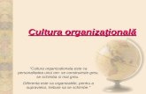 ML 3 Cultura Organizationala 1