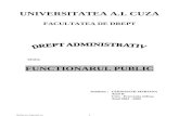 Referat.clopotel.ro-functionarul Public- Drept Administrativ