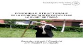 Raport Ipp Fonduri Structurale