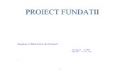 Proiect fundatii Gaby 11.04