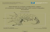 Distributia Si Ecologia Amfipodelor Epigee Din SV Romaniei
