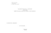 Marketingul Onlinie Pentru Serviciile Financiar Contabile-pag.1-61