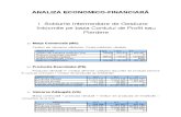 Analiza Economico-financiara BADITA ANDREEA - Carbochim