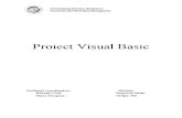 Proiect Visual Basic