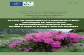 Plan Monitoring Tufarisuri de Pinus Mugo Si Rhododendron