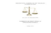 Elemente de Drept Penal Si Procedura Penala