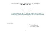 Coroziunea Microbilogica