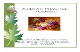 Abilitati Practice- Toamna