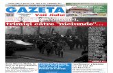 Gazeta Vaii Jiului 2011-11-3