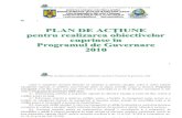 Plan de Actiune 2010