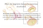 Plan de Lucru Bronsita Cronica Acutizata