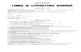 PLANIFICARE LB.ROM.CLS.A III.A completă