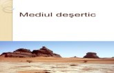 Mediul desertic