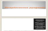 Melania Marianu - Streptococcus Pyogenes