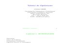 Tehnici Optimizare Cristian Oara -Manual