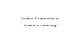 Www.referat.ro-masivul Bucegi Si Valea Prahovei.doc64a24