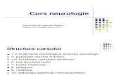 1. Anatomie Functional A, Examen Neurologic