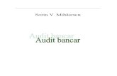 Audit bancar 2011 (v. 12.09.2011)