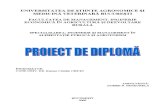 Proiect Diploma - Arad