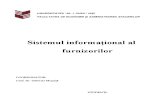 Sistemul Informational Al Furnizorilor-NET