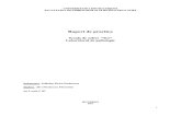 Raport Practica an I Seria1 ID-Ilie(Niculescu)Florentina