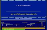 Levocetirizina Program