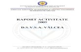 162_Raport Activitate DSVSA 2009-Prefectura 1