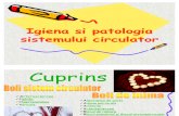 Igiena Si Patologia Sistemului Circulator