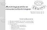 Antispastice musculotrope