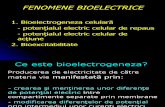 5 - Notiuni de bioelectricitate