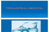 Prolaps genital