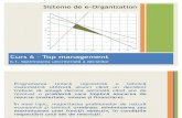 Curs 6 - Top Management - Optimizarea Unicriteriala Si Deciziile de Grup