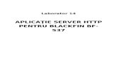 Document a Tie Proiect Server HTTP on Blackfin