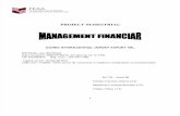 PROIECT SEMESTRIAL ECTS III - Analiza financiară Danro Botoșani