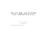 Selena Plan Afaceri