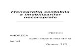 Monografia Contabila a Imobilizarilor Necorporale