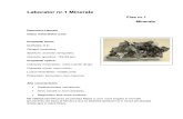 Fise Minerale 2012 PDF