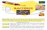 Microbiologie - Bacterii