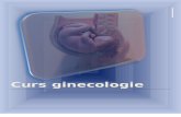 Ginecologie Curs