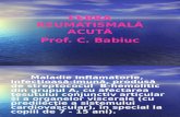 B.Febra Reumatismala