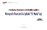 Monografie Financiara La Spitalul Sfanta Maria Iasi