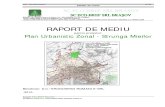Kronospan Romania PUZ Raport Mediu Strunga Mieilor Ianuarie 2010
