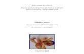 Rolul masajului și kinetoterapiei în discopatia lombară