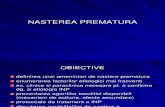NASTEREA PREMATURA_1