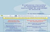 Evaluarea Riscurilor Si Managementul SSM - Steluta Nisipeanu