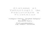 Sisteme Si Tehnologii de Prelucrare a Filetelor