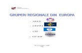 38692444 Grupari Regionale Din Europa 1