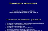 Patologia Placentei SC 06 Ppt Handout 2005