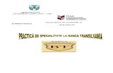 Proiect Practica de Special It Ate - Banca Transilvania